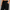 Sweatpant Elastic Bottom - Black