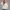 KEYNOO Oversized Crewneck Sweatshirt - Bleached Gray