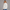 KEYNOO Oversized Crewneck Sweatshirt - Bleached Gray