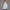 KEYNOO Oversized Half Zip Sweatshirt- Bleached Gray