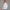 KEYNOO Oversized Quarter Zipper Sweatshirt- Bleached Grey