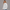Crewneck Sweatshirt - Bleached Gray