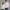 Crewneck Sweatshirt - Bleached Gray