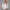 KEYNOO Oversized Pullover Hoodie – Bleached Grey