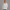 Quarter Zipper Sweatshirt - Bleached Grey
