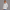 Quarter Zipper Sweatshirt - Bleached Grey