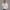 Quarter Zipper Sweatshirt - Bleached Grey