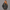 Oversized Pullover Hoodie – Charcoal
