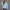 KEYNOO Oversized Half Zip Sweatshirt- Sky Blue
