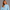 KEYNOO Oversized Half Zip Sweatshirt- Sky Blue