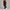 Sweatpant Elastic Bottom- Chocolate