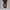 Sweatpant Elastic Bottom- Chocolate