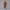 KEYNOO Women's Two Piece Sweatsuit- Chocolate