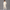 Oversized Pullover Hoodie – Cream