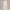 Sweatpant Open Bottom- Cream