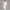 KEYNOO Oversized Pullover Hoodie – Cream