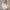 KEYNOO Oversized Pullover Hoodie – Cream