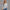 KEYNOO Oversized Crewneck Sweatshirt- Heather Gray