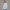 KEYNOO Oversized Crewneck Sweatshirt- Heather Gray
