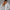 Oversized Pullover Hoodie – Heather Grey
