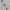 Oversized Pullover Hoodie – Heather Grey