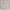 Sweatpant Elastic Bottom- Heather Grey