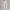 Sweatpant Open Bottom- Heather Grey