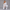 KEYNOO Women's Two Piece Sweatsuit- Heather Grey