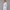 KEYNOO Women's Two Piece Sweatsuit- Heather Grey