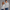 Crewneck Sweatshirt - Heather Gray