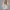 Oversized Pullover Hoodie – Heather Grey
