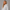 KEYNOO Oversized Pullover Hoodie – Heather Grey