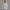 Quarter Zipper Sweatshirt - Heather Gray