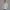 Quarter Zipper Sweatshirt - Heather Gray