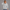 Quarter Zipper Sweatshirt - Heather Gray
