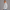 Quarter Zipper Sweatshirt - Heather Gray