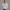 Quarter Zipper Sweatshirt - Heather Gray
