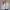 Quarter Zipper Sweatshirt - Heather Gray
