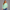 KEYNOO Oversized Crewneck Sweatshirt- Mint