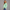 KEYNOO Oversized Crewneck Sweatshirt- Mint