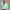 KEYNOO Oversized Crewneck Sweatshirt - Mint