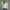 KEYNOO Oversized Half Zip Sweatshirt- Mint