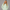 Oversized Pullover Hoodie – Mint