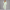 Oversized Pullover Hoodie – Mint
