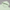 Oversized Pullover Hoodie – Mint