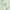 Oversized Pullover Hoodie – Mint
