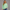 KEYNOO Oversized Quarter Zipper Sweatshirt- Mint