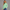 KEYNOO Oversized Quarter Zipper Sweatshirt- Mint
