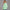 KEYNOO Oversized Quarter Zipper Sweatshirt- Mint