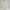 Sweatpants Elastic Bottom- Mint